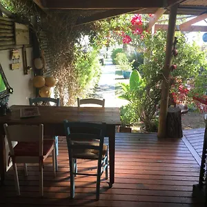 Da Vida Port Elizabeth